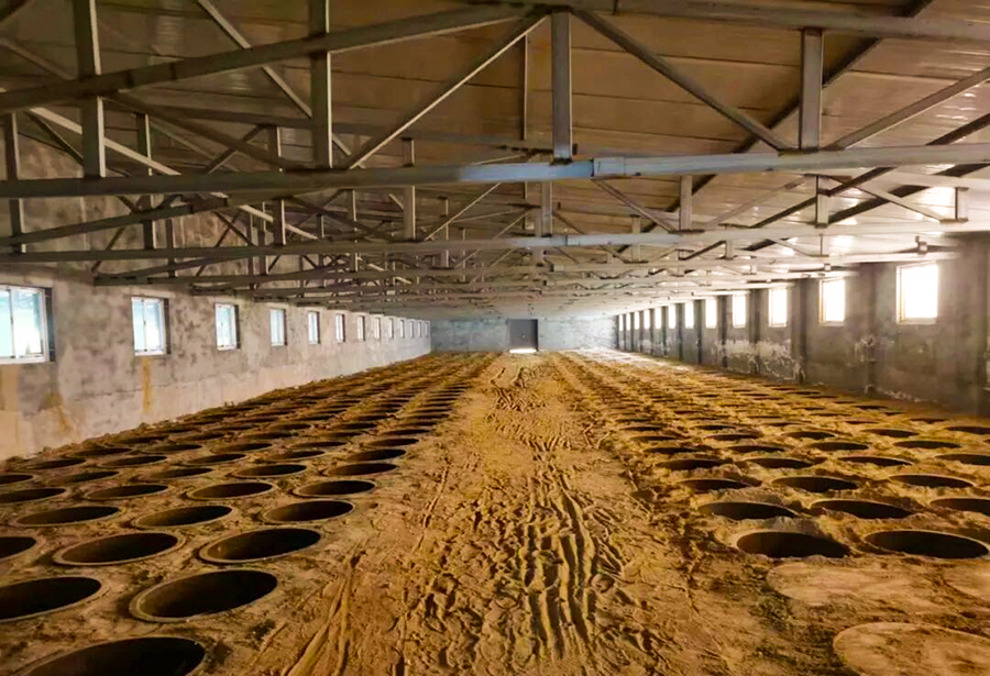 枫林酒业,枫林老酒,枫林集团